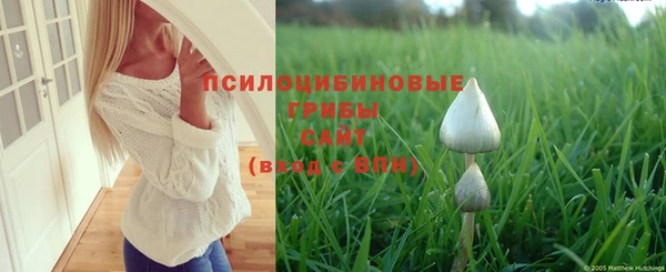спайс Богородск
