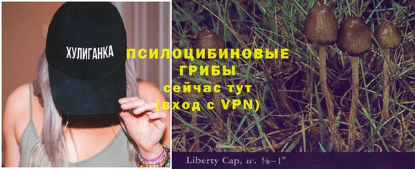 герыч Богданович