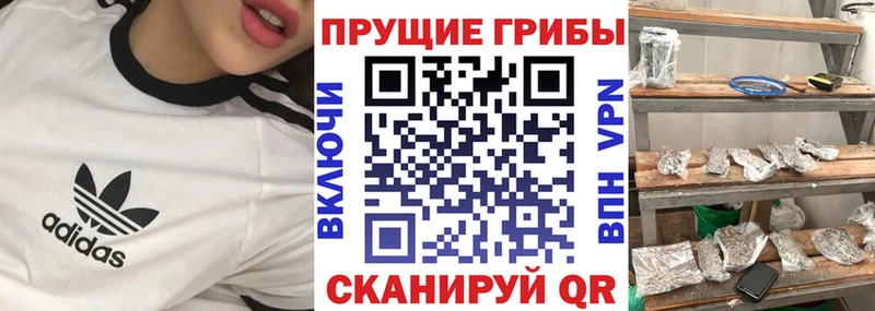 Псилоцибиновые грибы MAGIC MUSHROOMS  Купить закладки  Пласт 